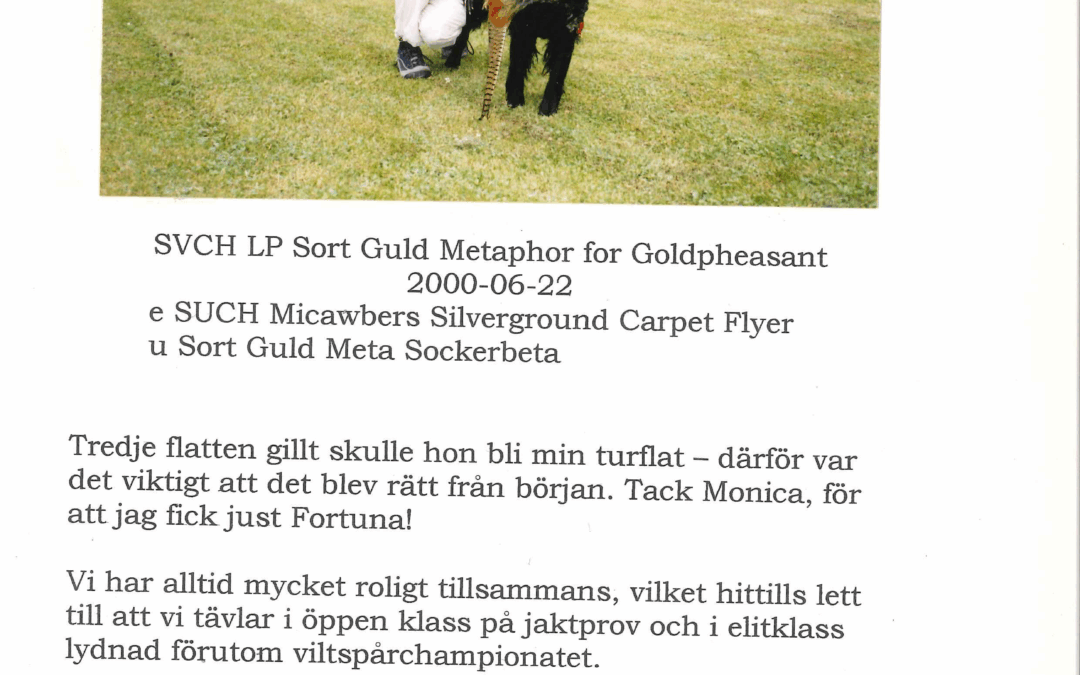 Fortuna 2002