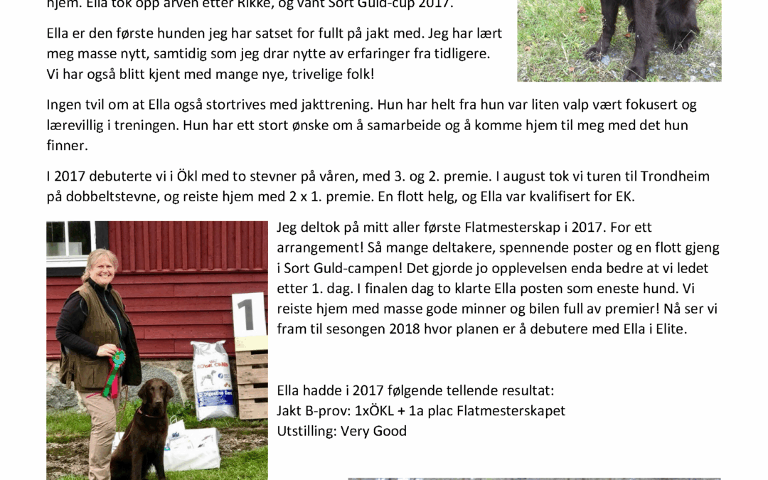 Ella 2017