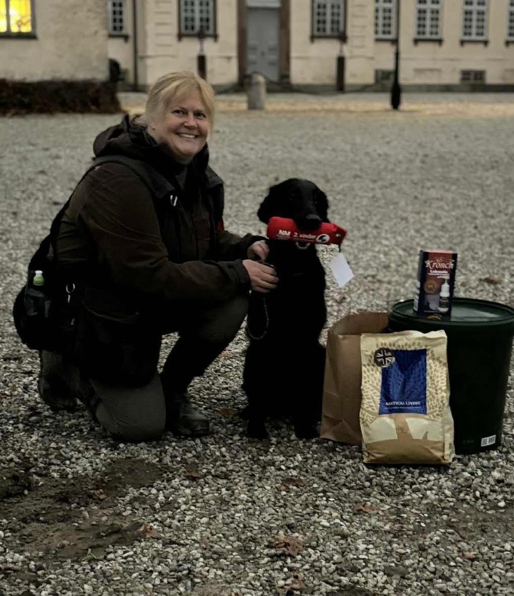 Sort Guld Norwegian Dream