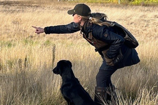 Cassie Katarina i ett skick600x400