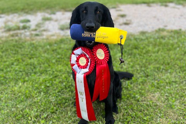 Cassie vinnare 600x400