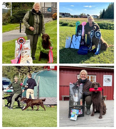 Sort Guld Estate Diamond