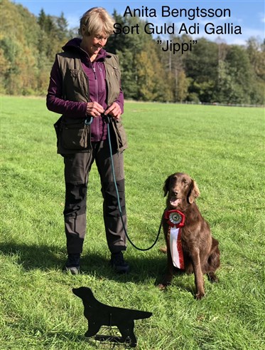 Sort Guld Ada Gallia