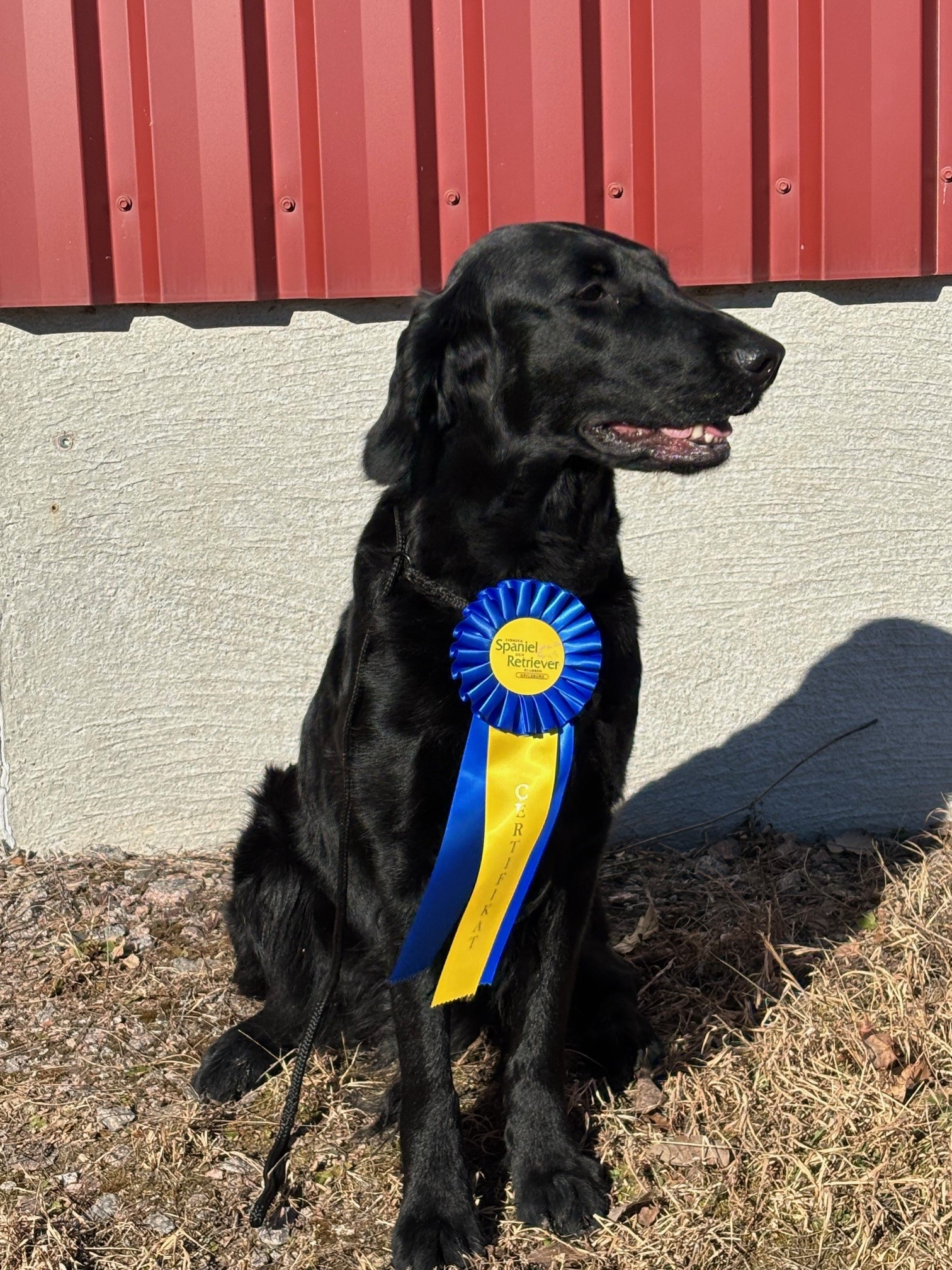 Vicki Högsbo mars 2025 2